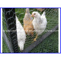 Heißes DIP Galvanisiertes Hexagonal Chicken Wire Netting